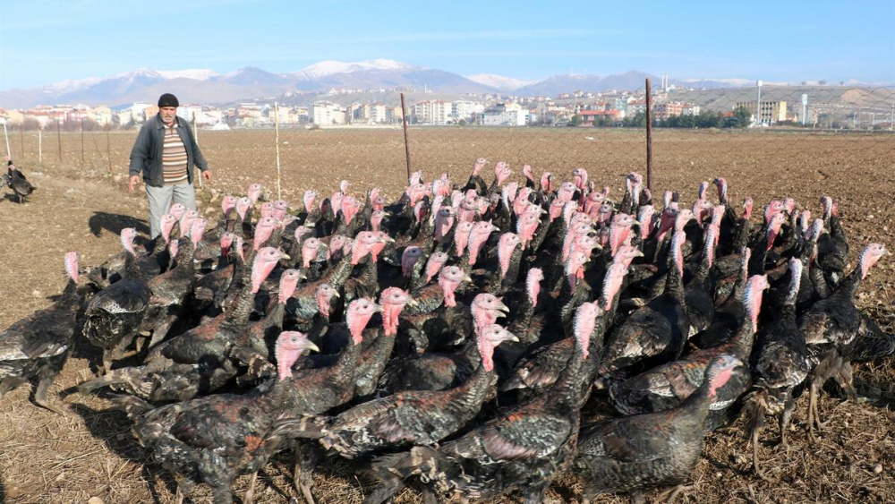 Yılbaşının vazgeçilmeziydi!  Koronavirüs onu da vurdu 2