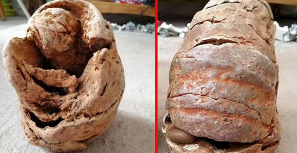 Yolda buldukları nesneyi eve götüren anne kız kabusu yaşadı!  Sıcak iğneyle deldikleri an patladı 1