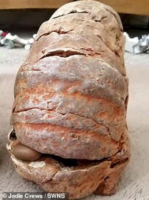 Yolda buldukları nesneyi eve götüren anne kız kabusu yaşadı!  Sıcak iğneyle deldikleri an patladı 3