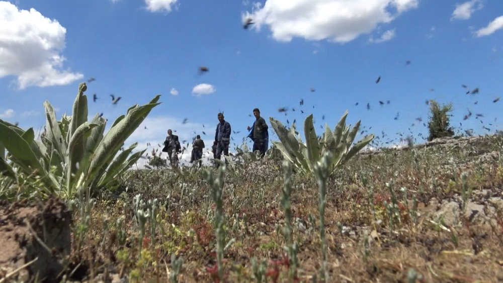 Dehşete düşüren görüntüler gelmişti: Önlem alınmazsa 2021'de de yaşanacak 14