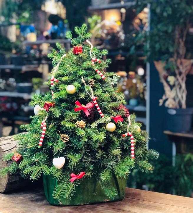 Çam ağacı fiyatları nedir? Yapay çam ağacı fiyatı ne kadar, kaç TL? 8