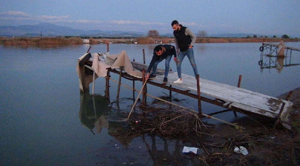 Resmen vahşet! İskeleye bacaklarından bağlanan iki kuzu ölüme terk edildi 6