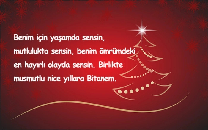 Resimli yılbaşı mesajları 2021 yılbaşı mesajları | 2021 kısa, uzun, komik yılbaşı mesajları 15