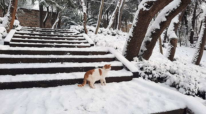 İstanbul'a ne zaman kar yağacak? Meteoroloji Genel Müdürlüğü'nden flaş uyarı! 11