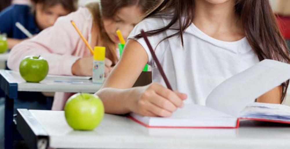 8 yaşındaki kız öğrenci, hemcinsinden hoşlandığını söyleyince okuldan kovuldu 1