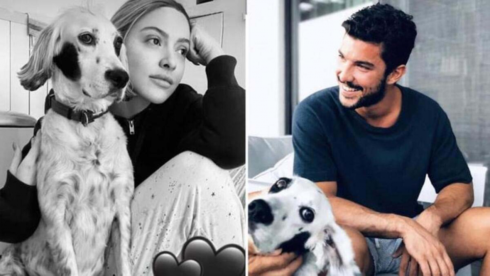 Ünlü çiften müjdeli haber! Hadise ve Kaan yıldırım evleniyor 8