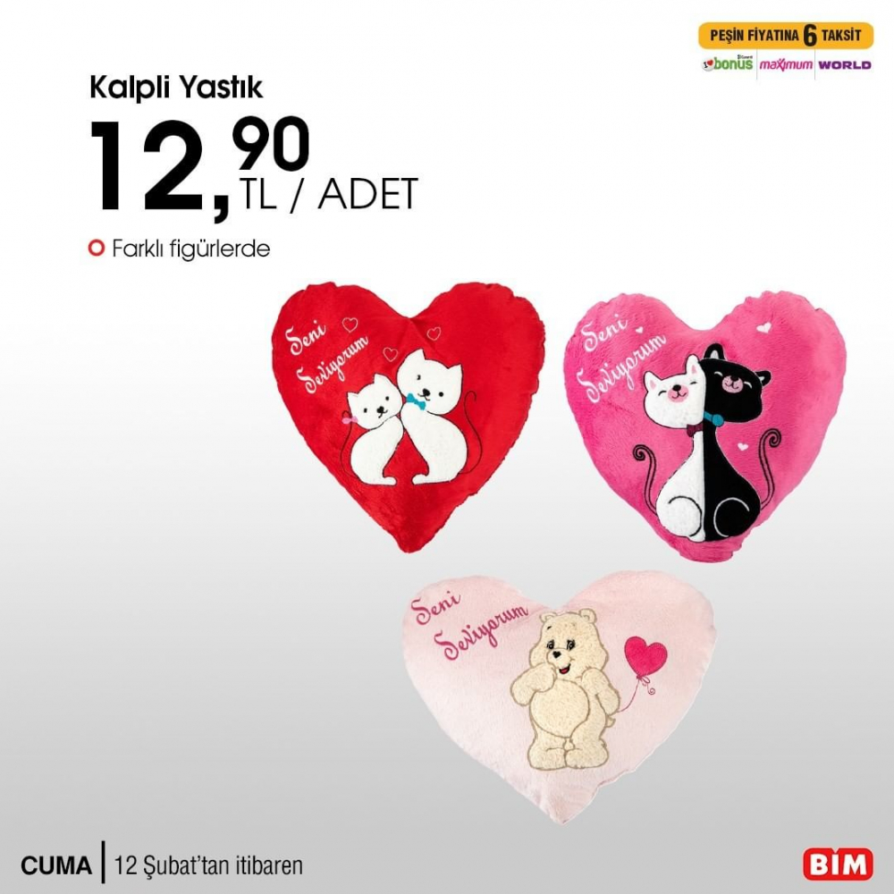 15 Şubat 2021 BİM kataloğu | BİM vakumlu siyah nokta temizleme aleti | Bu cuma BİM kataloğu 27