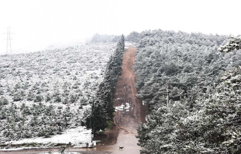 İstanbul'da sıcaklıklar eksilere düşüyor: Bir haftalık süreç başladı, kent buz tuttu! 9