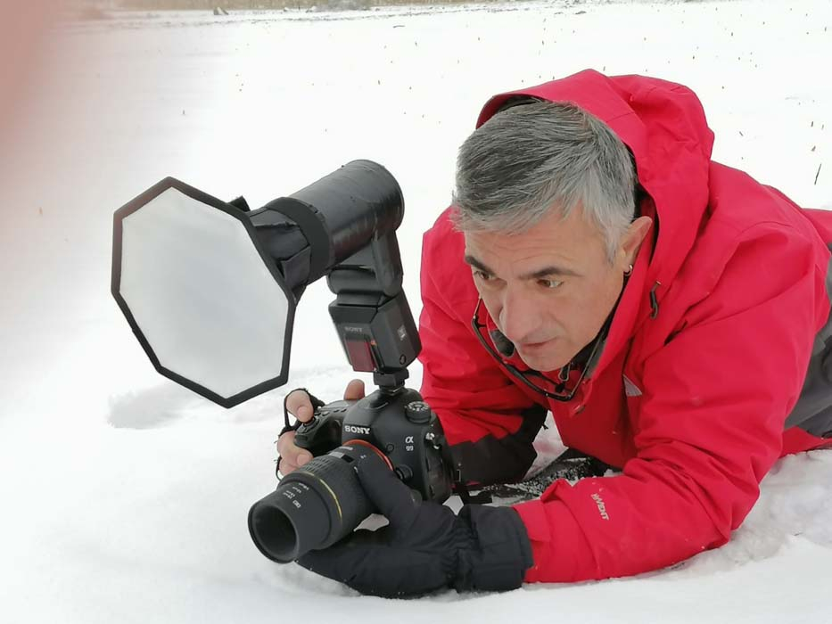 Bu çiçeği koparanlar yandı!  Cezası 80 bin lira oldu... 4