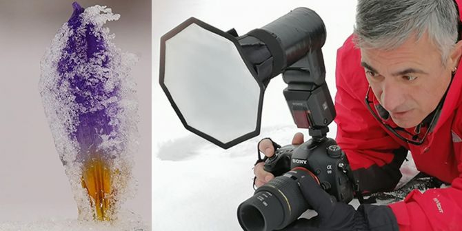 Bu çiçeği koparanlar yandı!  Cezası 80 bin lira oldu...