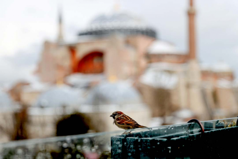 İstanbul beyaz gelinliğiyle mest etti! İşte kentin birçok noktasından kart postallık görüntüler... 61