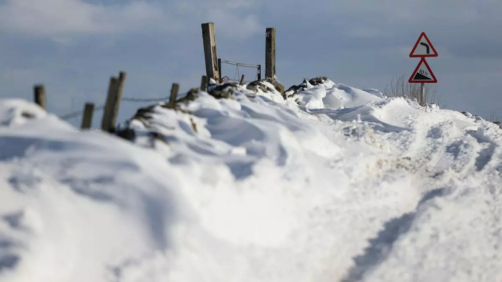 Teksas'ta Kovid-19'la mücadeleye dondurucu soğuk engeli: 21 kişi öldü, binlerce hayvan telef oldu! 10
