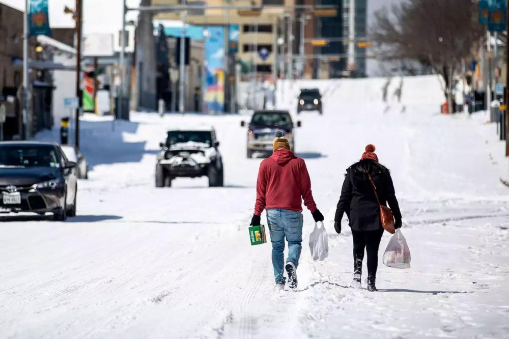 Teksas'ta Kovid-19'la mücadeleye dondurucu soğuk engeli: 21 kişi öldü, binlerce hayvan telef oldu! 14
