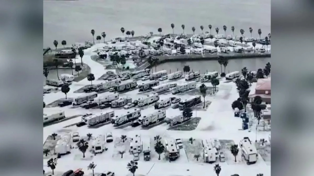 Teksas'ta Kovid-19'la mücadeleye dondurucu soğuk engeli: 21 kişi öldü, binlerce hayvan telef oldu! 15