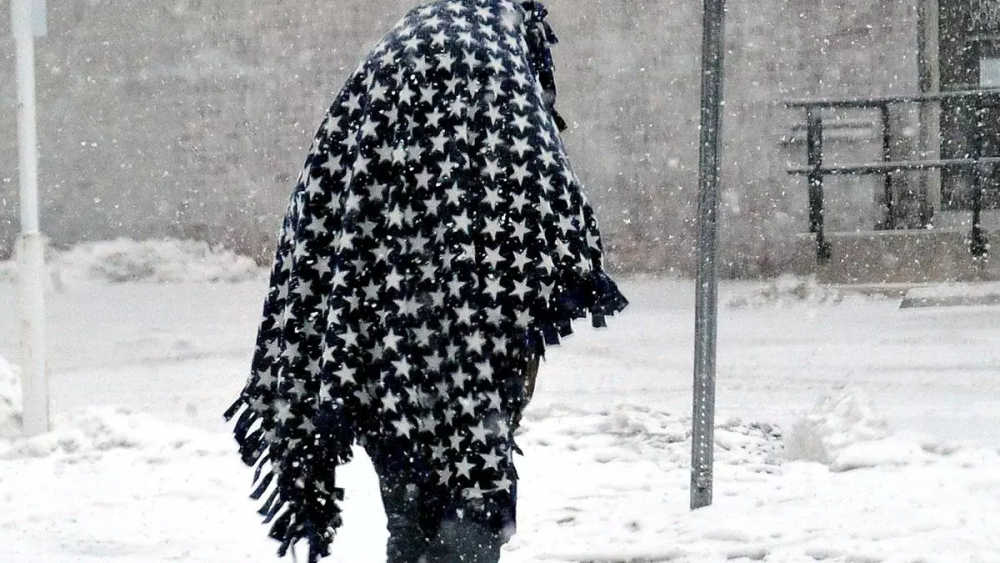 Teksas'ta Kovid-19'la mücadeleye dondurucu soğuk engeli: 21 kişi öldü, binlerce hayvan telef oldu! 16