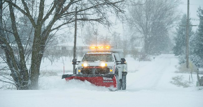 Teksas'ta Kovid-19'la mücadeleye dondurucu soğuk engeli: 21 kişi öldü, binlerce hayvan telef oldu! 6