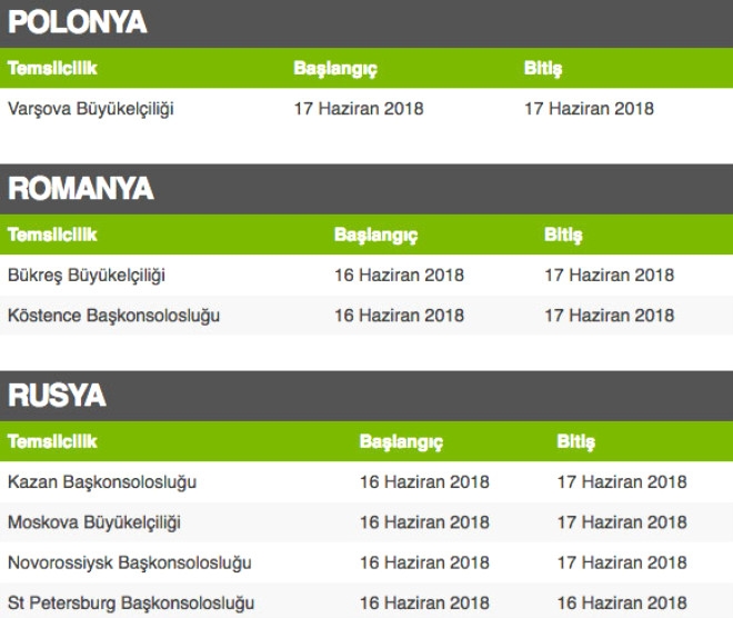 Yurt dışı seçmenleri hangi ülkede nerede oy kullanabilecek? 20