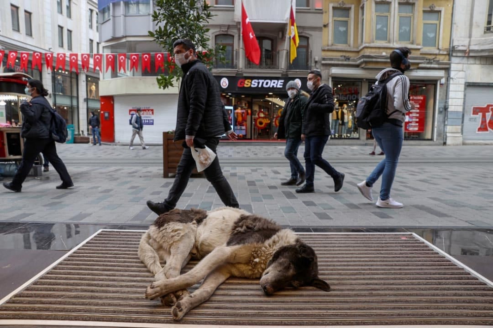 Kısıtlamasız cumartesi heyecanı! Vatandaşlar Taksim'e akın etti 8