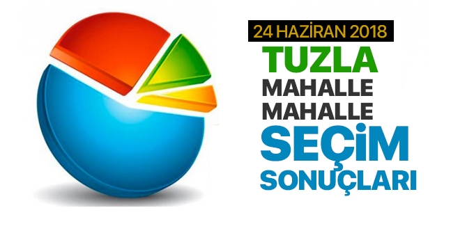 24 Haziran 2018 Tuzla mahalle mahalle seçim sonuçları