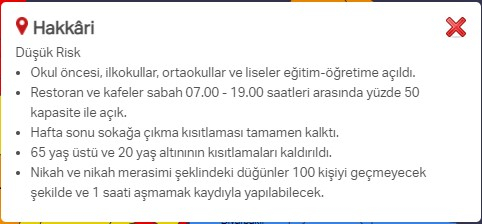 Hangi ilde hangi kısıtlamalar uygulanıyor? İşte renklere göre il il uygulanan kısıtlamalar 60