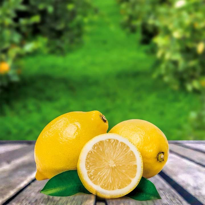 Mucizevi besin, Faydaları saymakla bitmiyor! 1