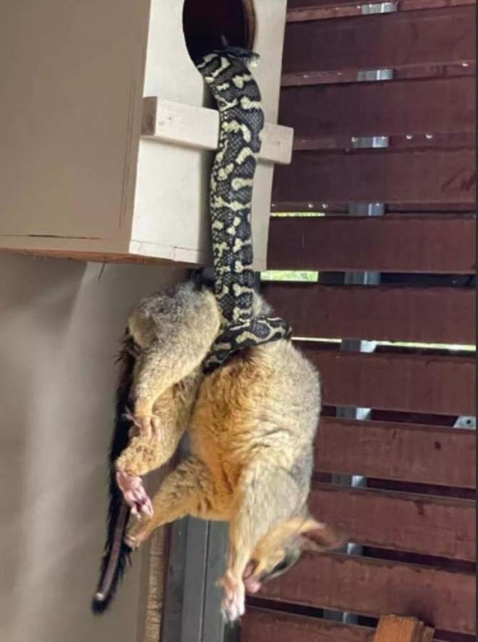 O görüntüler karşısında ev sahibi ne yapacağını bilemedi! 1