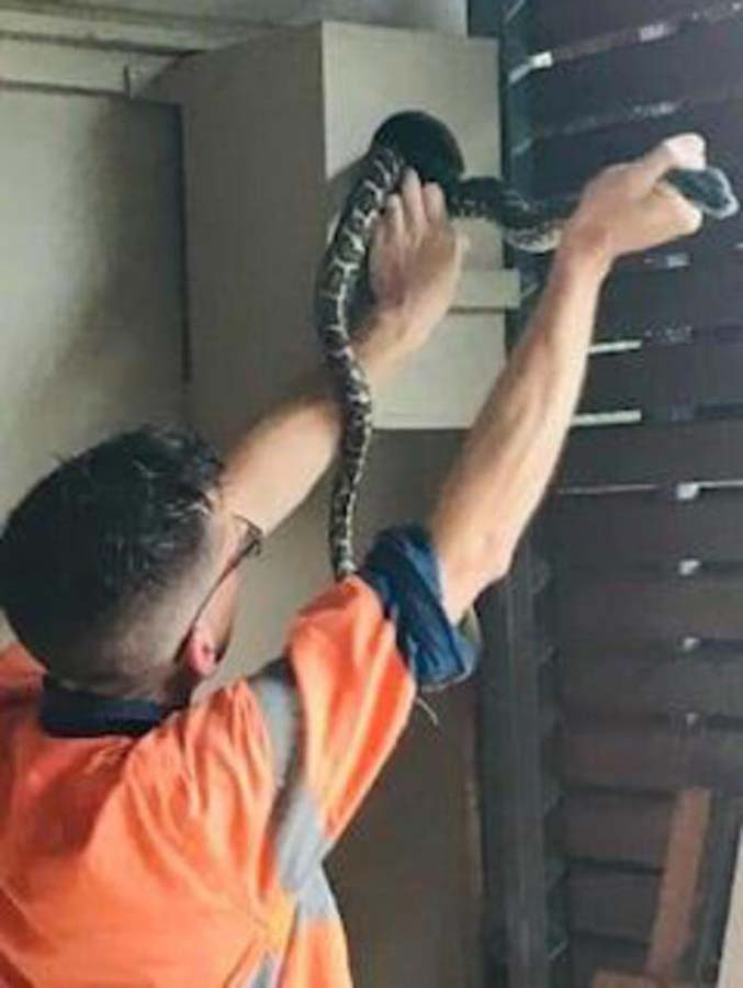 O görüntüler karşısında ev sahibi ne yapacağını bilemedi! 3