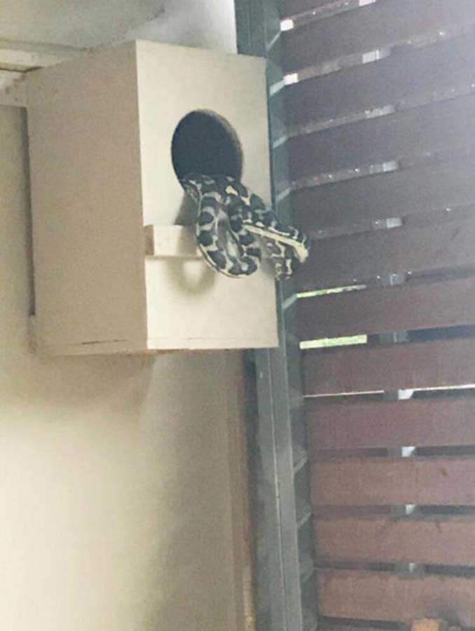 O görüntüler karşısında ev sahibi ne yapacağını bilemedi! 5