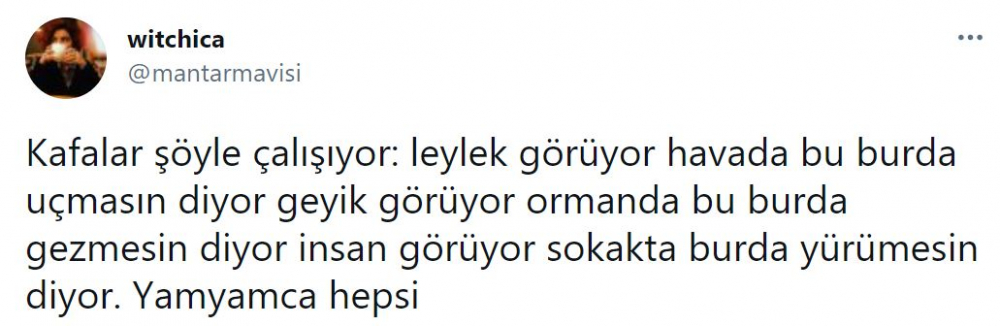 Sosyal medyada tepki çeken görüntü! Göç eden leylekleri tüfekle vurarak öldürdüler 4