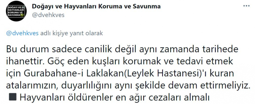 Sosyal medyada tepki çeken görüntü! Göç eden leylekleri tüfekle vurarak öldürdüler 5