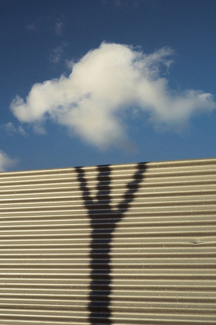 Düzenli insanlar için çekilmiş simetrik fotoğraflar 13