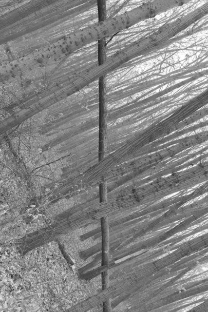 Düzenli insanlar için çekilmiş simetrik fotoğraflar 39