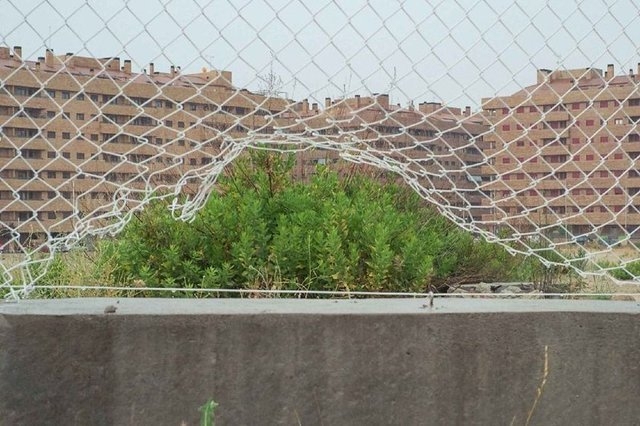 Düzenli insanlar için çekilmiş simetrik fotoğraflar 53