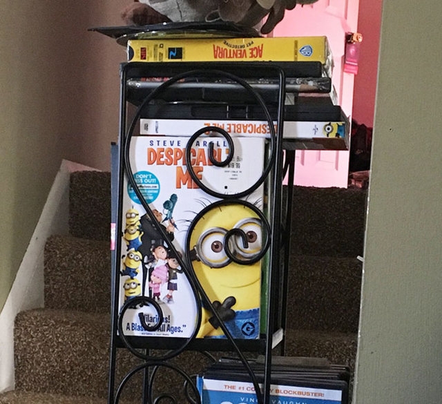 Düzenli insanlar için çekilmiş simetrik fotoğraflar 58