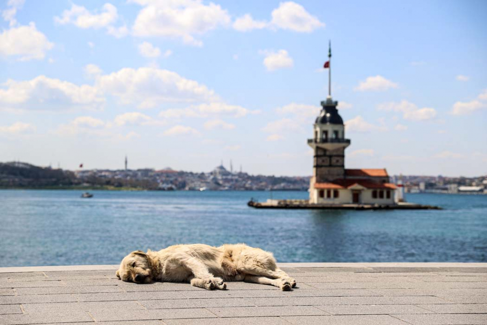 İçişleri Bakanlığı genelgesi yayımlandı! İşte Kısmi Kapanma'nın detayları... 18