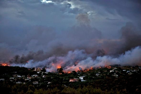 Yunanistan'daki yangın felaketinden acı fotoğraflar... 1