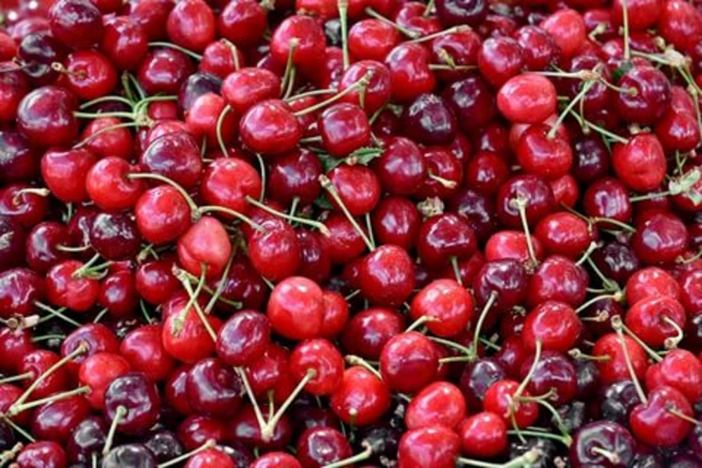 Sıcak havalar geldi! İşte yaz mevsiminde tüketilmesi gereken besinler 7