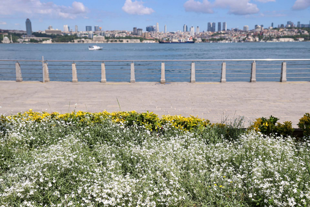 Sokağa çıkma kısıtlamasında Kadıköy Meydanına sessizlik çöktü! 18