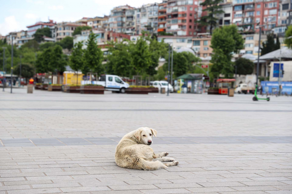 Sokağa çıkma kısıtlamasında Kadıköy Meydanına sessizlik çöktü! 20