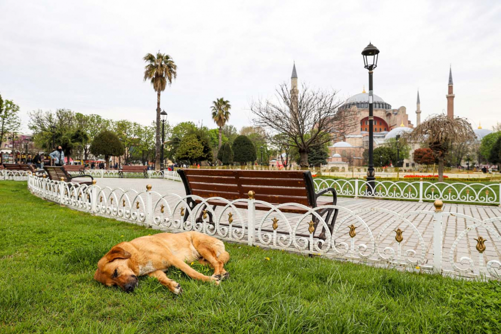 Hafta sonu sokağa çıkma yasağı kalkıyor! Kafe ve restoranlar açılıyor 10