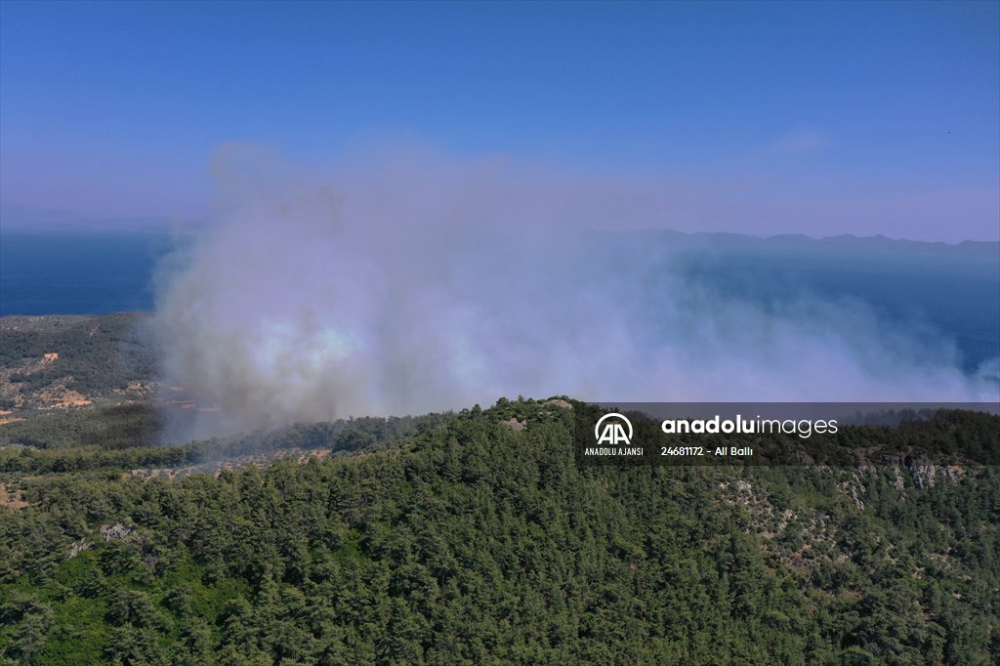 Muğla'da orman yangını korkuttu! Ekiplerin müdahalesi sürüyor 1