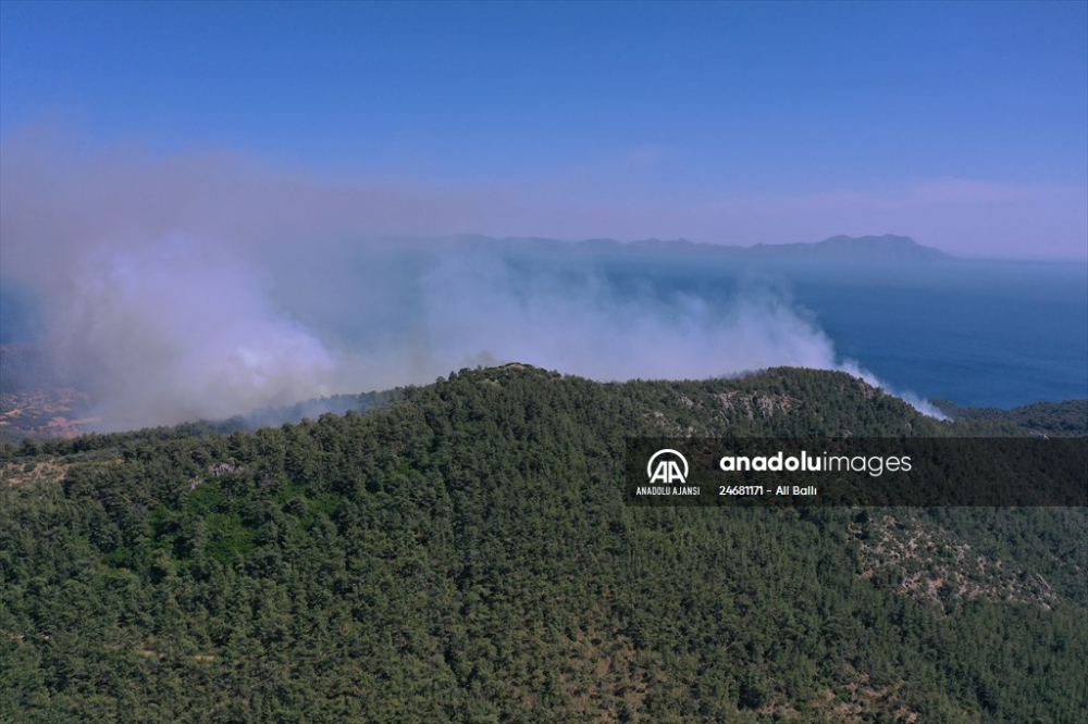 Muğla'da orman yangını korkuttu! Ekiplerin müdahalesi sürüyor 2