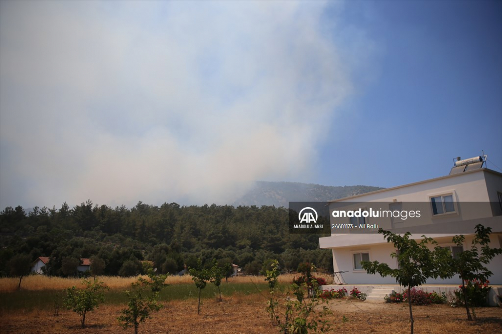 Muğla'da orman yangını korkuttu! Ekiplerin müdahalesi sürüyor 5