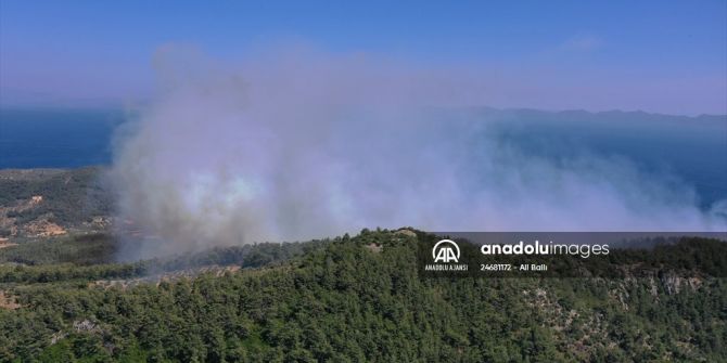 Muğla'da orman yangını korkuttu! Ekiplerin müdahalesi sürüyor