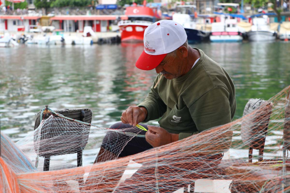 Marmara Denizi'ndeki tehlike devam ediyor: İstanbul, Kocaeli, Bursa, Tekirdağ... İşte deniz salyasının etkileri... 1