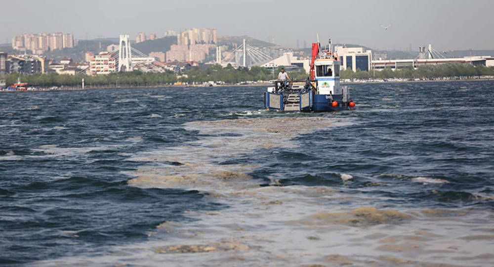 Marmara Denizi'ndeki tehlike devam ediyor: İstanbul, Kocaeli, Bursa, Tekirdağ... İşte deniz salyasının etkileri... 17