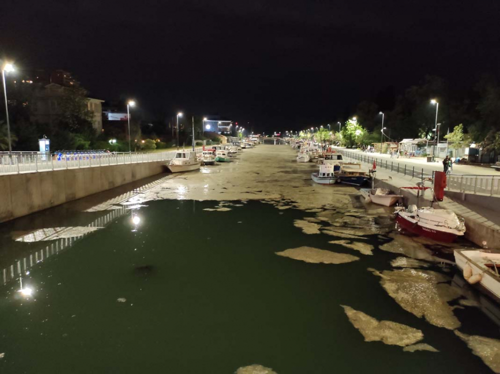 Marmara Denizi'ndeki tehlike devam ediyor: İstanbul, Kocaeli, Bursa, Tekirdağ... İşte deniz salyasının etkileri... 20