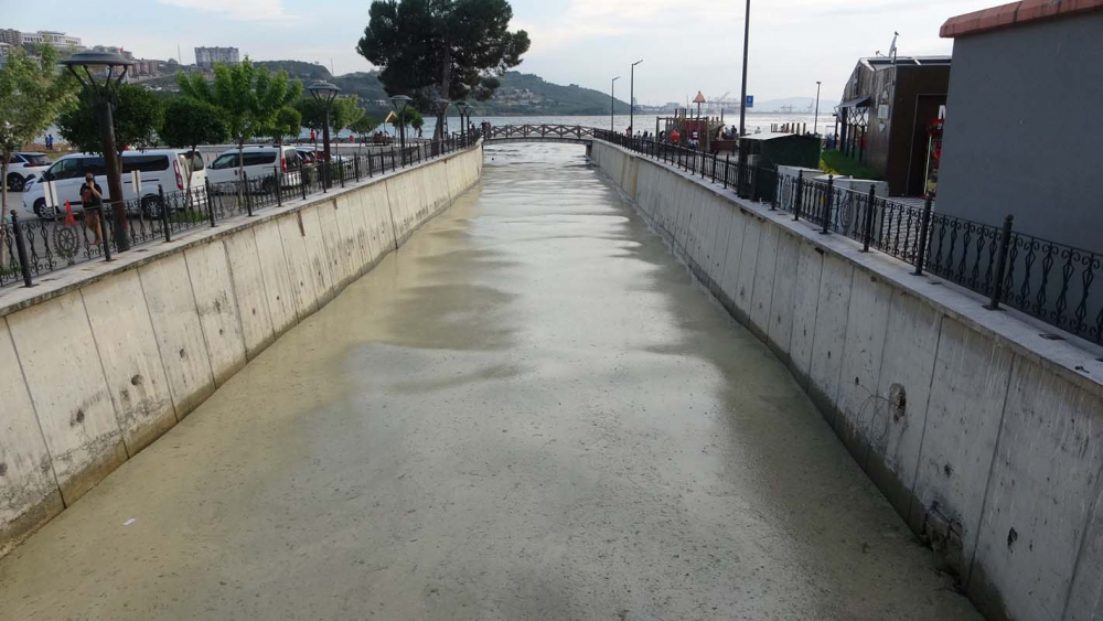 Marmara Denizi'ndeki tehlike devam ediyor: İstanbul, Kocaeli, Bursa, Tekirdağ... İşte deniz salyasının etkileri... 4