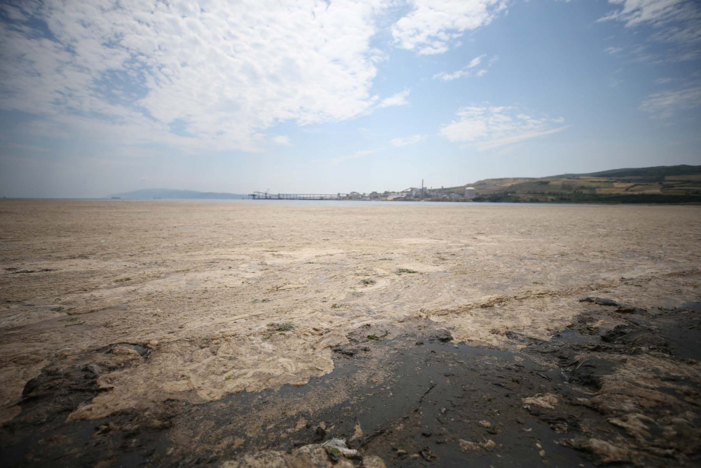 Marmara'da durum kötüleşiyor!  Müsilaj (deniz salyası) , Balıkesir Erdek'i esir aldı! 5