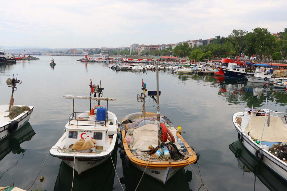 Tekirdağ kıyısı müsilajdan arındı, deniz göründü! Yüzey artık tertemiz.... 5